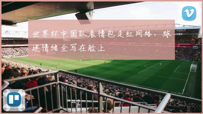 世界杯中国队表情包走红网络，球迷情绪全写在脸上