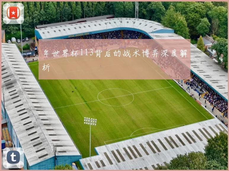 年世界杯113背后的战术博弈深度解析