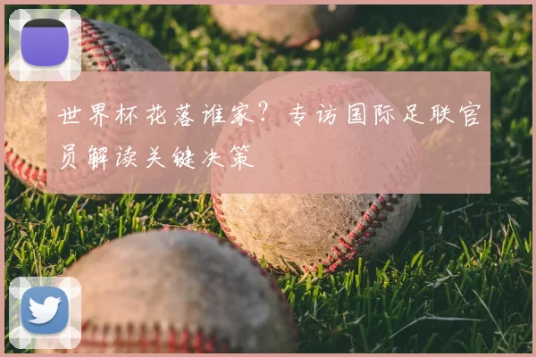世界杯花落谁家?专访国际足联官员解读关键决策
