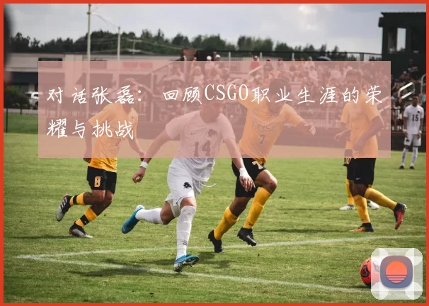 对话张磊：回顾CSGO职业生涯的荣耀与挑战