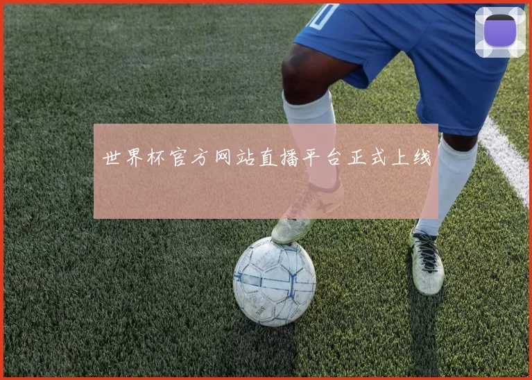 世界杯官方网站直播平台正式上线