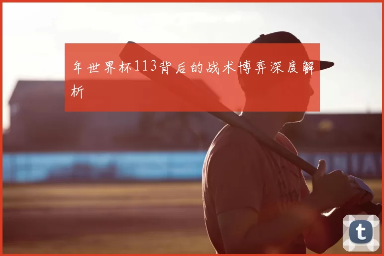 年世界杯113背后的战术博弈深度解析