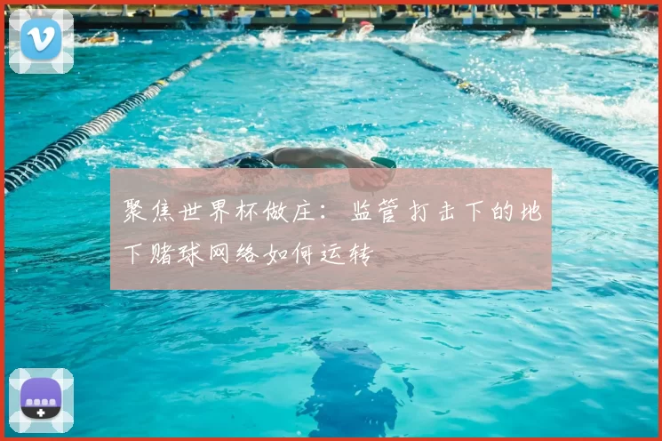聚焦世界杯做庄：监管打击下的地下赌球网络如何运转