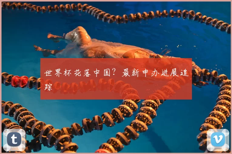 世界杯花落中国？最新申办进展追踪