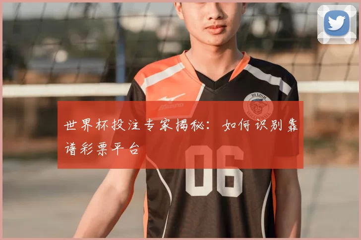 世界杯投注专家揭秘：如何识别靠谱彩票平台