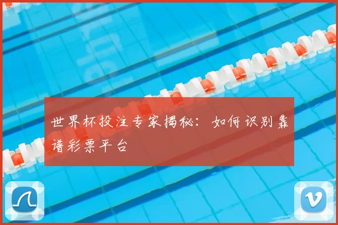 世界杯投注专家揭秘：如何识别靠谱彩票平台