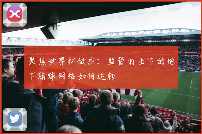 聚焦世界杯做庄：监管打击下的地下赌球网络如何运转