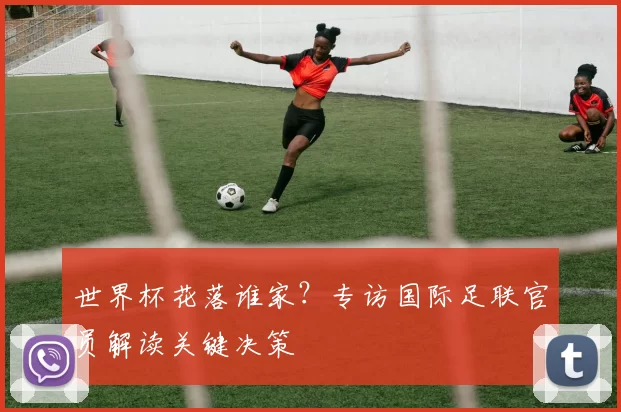 世界杯花落谁家？专访国际足联官员解读关键决策