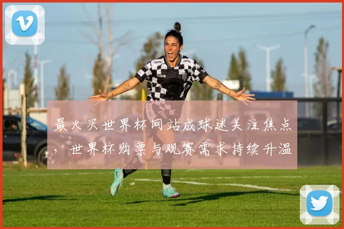 最火买世界杯网站成球迷关注焦点,世界杯购票与观赛需求持续升温