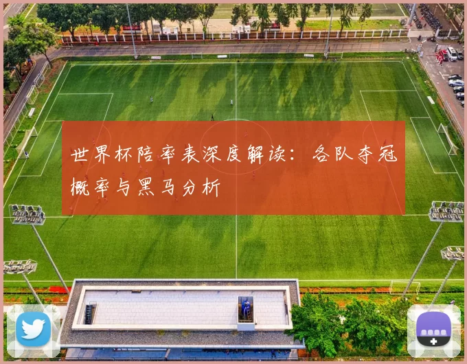 世界杯陪率表深度解读:各队夺冠概率与黑马分析