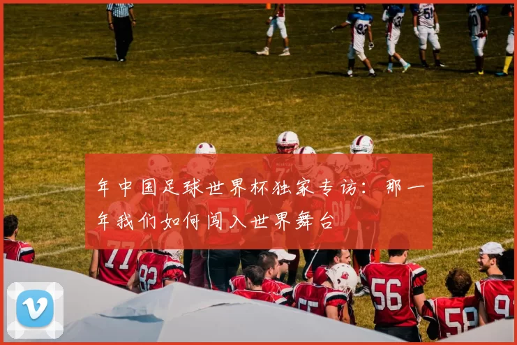 年中国足球世界杯独家专访：那一年我们如何闯入世界舞台