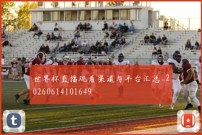 世界杯直播观看渠道与平台汇总_20260614101649