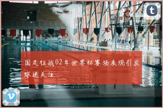 国足征战02年世界杯赛场表现引发球迷关注