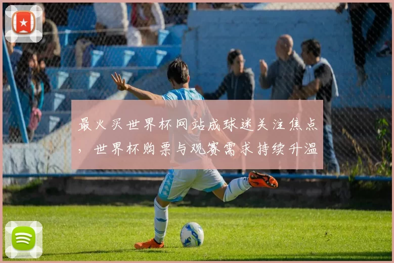最火买世界杯网站成球迷关注焦点,世界杯购票与观赛需求持续升温